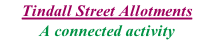 Tindall Street Allotments A connected activity